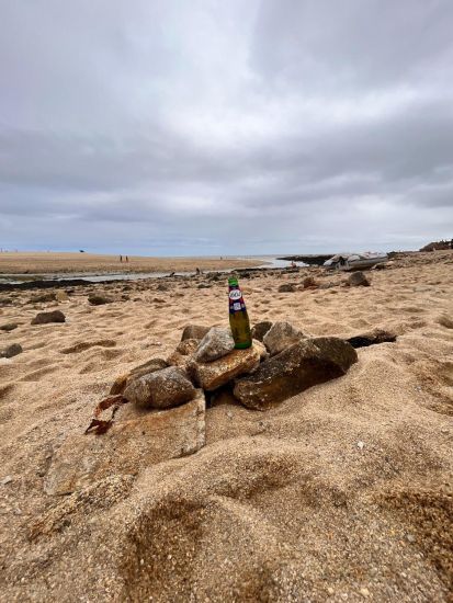 signal 2023 08 08 184119