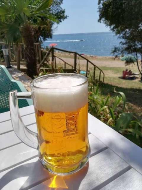 whatsapp image 2019 08 16 at.13.45