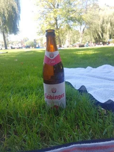 whatsapp image 2019 08 18 at.47.30