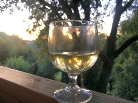 whatsapp image19 08 21 at.54.26