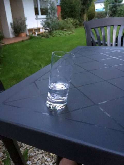 whatsapp image19 08 22 at.24.49