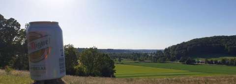 whatsapp image 2020 06 01 at.56.52