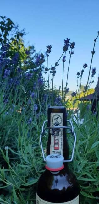 whatsapp image 2020 06 30 at.57.35