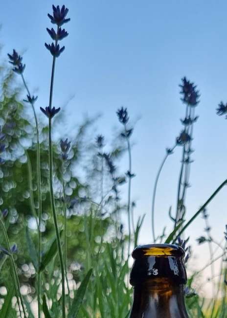 signal 2022 06 15 20 34 56