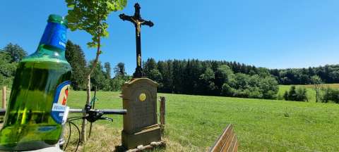 signal 2022 07 03 11 31 32