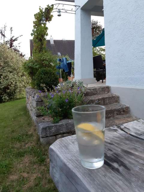 signal 2022 08 04 21 00 32