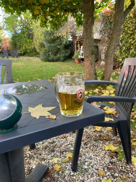 signal 2022 10 16   kopiert