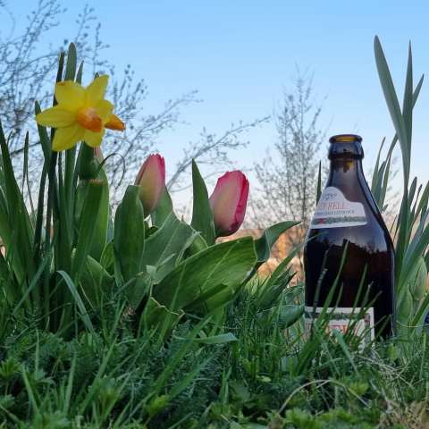 signal 2023 04 09 19 21 53