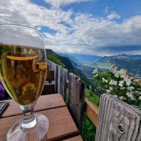 signal 2023 05 19 17 56 52