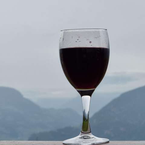 signal 2023 05 19 19 53 08