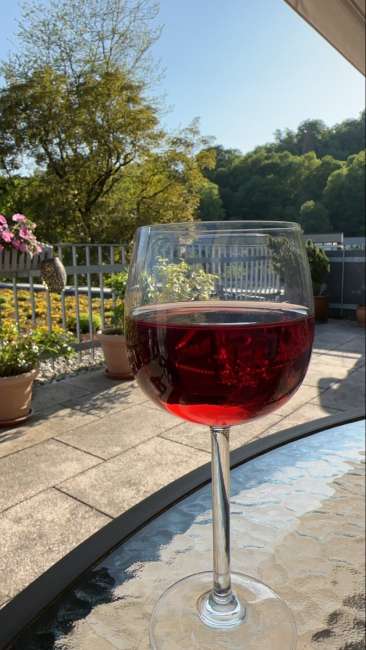 signal 2023 05 29 18 19 29