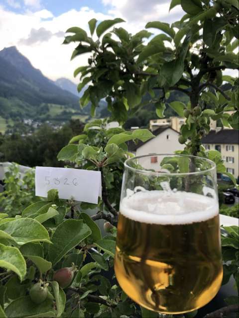 signal 2023 05 30 19 05 29