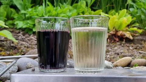 signal 2023 06 01 20 35 06