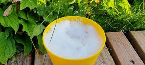 signal 2023 06 03 19 10 57