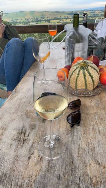 signal 2023 06 0390703