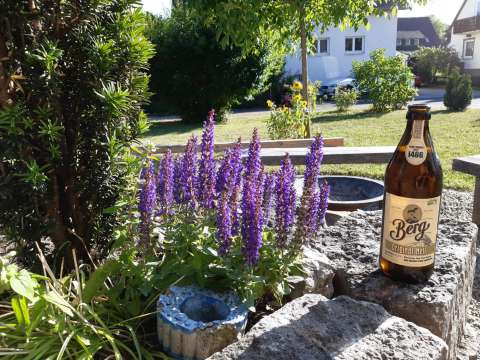 signal 2023 07 08 18 19 35