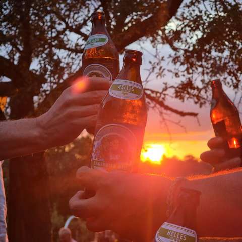 signal 2023 07 21 20 56 31