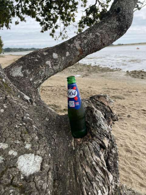 signal 2023 08 08 123511