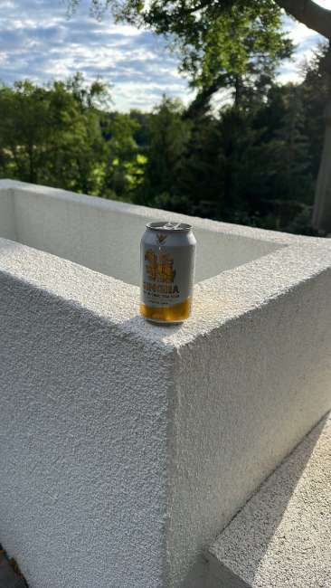 signal 2023 08 08 184742