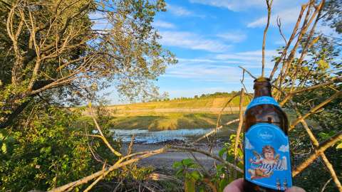 signal 2023 08 11 195543