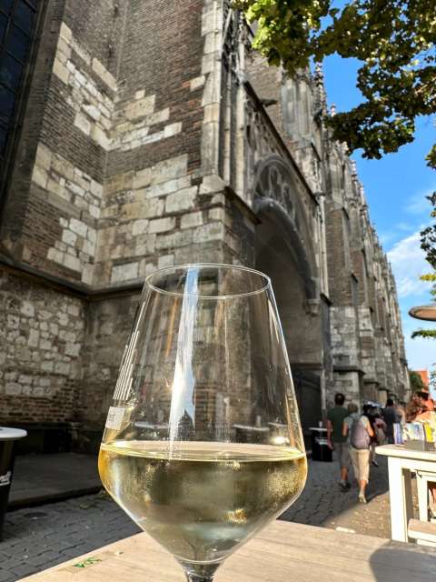 signal 2023 08 15 184820