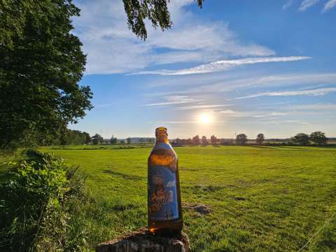 signal 2023 08 16 193623