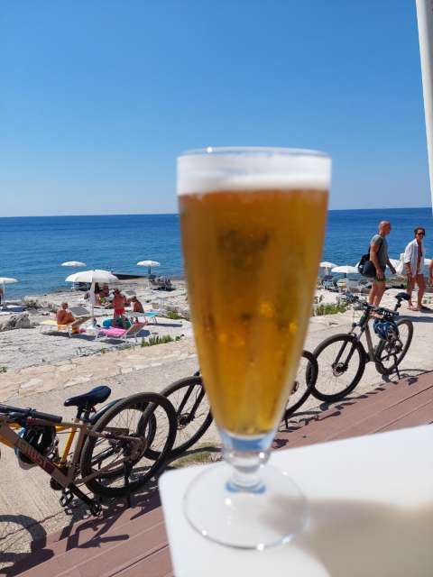 signal 2023 08 17 165147