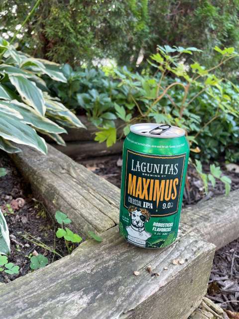 signal 2023 08 20 000410