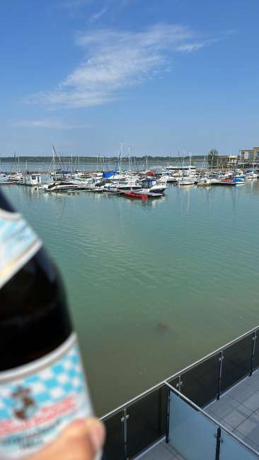 signal 2023 08 20 132524