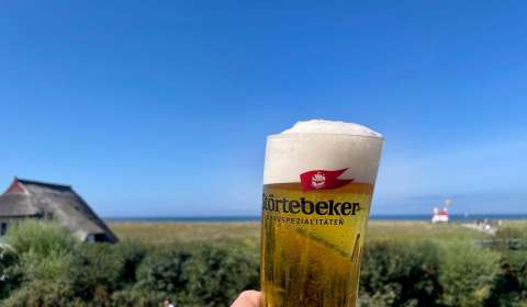 signal 2023 08 20 135425