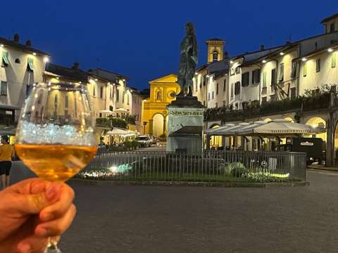 signal 2023 08 21 204235