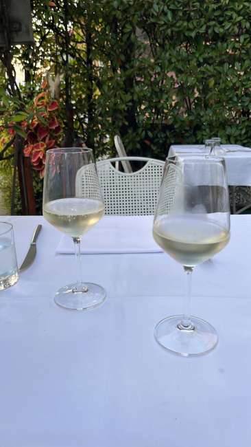 signal 2023 08 22 195852